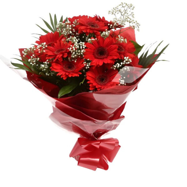 Red Glamour Gerberas